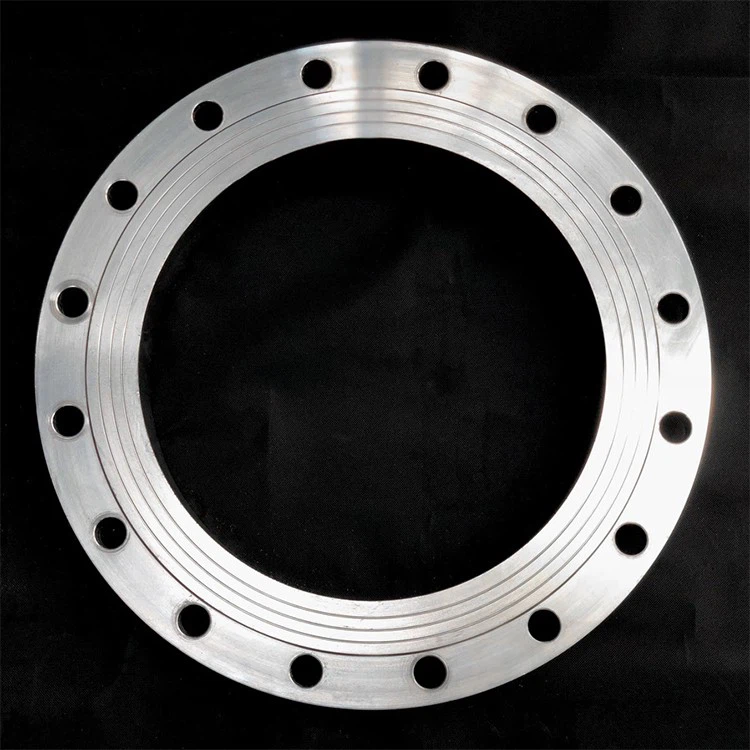 OEM High Quality Galvanized Flanges