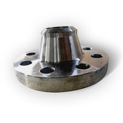 Hastelloy Threaded Screwed Flanges