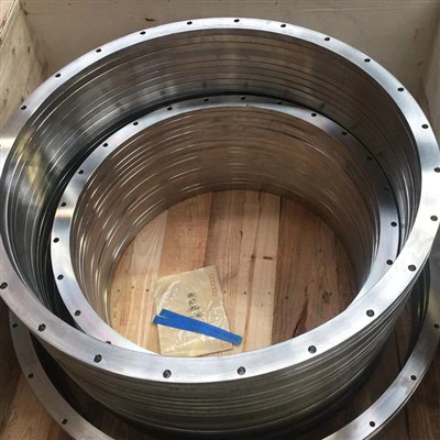 Inconel 718 Flanges